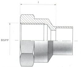 Female Screw Thread Connectors - BSP Parallel