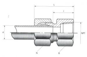 Female Stud Couplings - NPT Thread