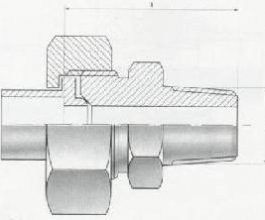 Male Stud Unions - BSP Taper