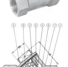 Piston Check Valves